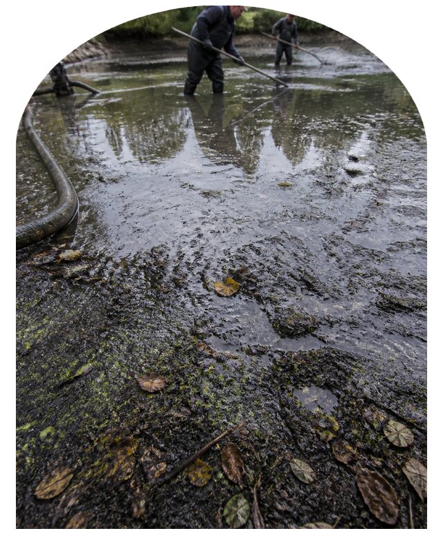 Очистка пруда в Хабаровске от ила мусора и водорослей с вывозом